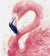 Flamingo paint by numbers kits - Custom paint by number