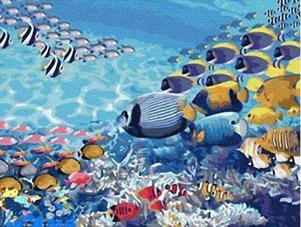 paint by numbers kit Abstract Fish Swimming