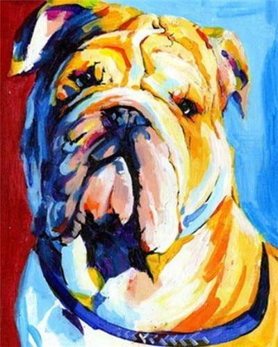 Bulldog Paint by Numbers Kit for Sale in Australia