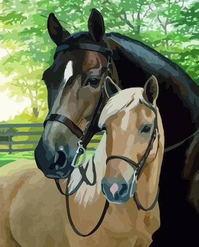 paint by numbers kit Wild Horses