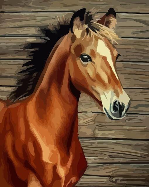 Buy Horse Paint by Numbers Kits  Paint by Numbers Online– Premium Paint by  numbers online